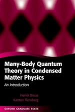 Many-Body Quantum Theory in Condensed Matter Physics