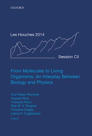 From Molecules to Living Organisms: An Interplay Between Biology and Physics