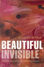 Beautiful Invisible