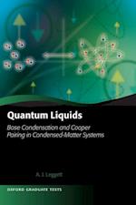 Quantum Liquids