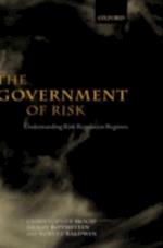 Government of Risk