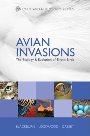 Avian Invasions