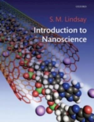 Introduction to Nanoscience