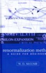 Renormalization Methods