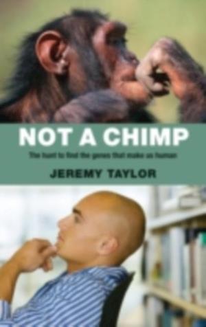 Not a Chimp