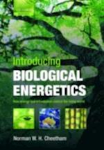 Introducing Biological Energetics