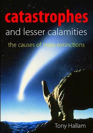 Catastrophes and Lesser Calamities