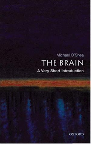 Brain: A Very Short Introduction