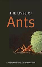 Lives of Ants