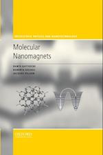 Molecular Nanomagnets