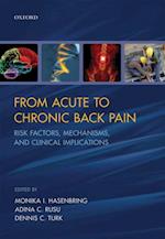 From Acute to Chronic Back Pain