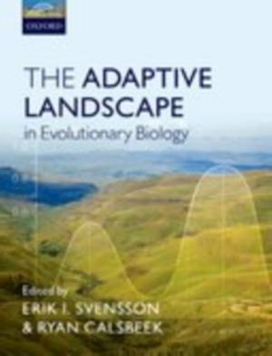 Adaptive Landscape in Evolutionary Biology