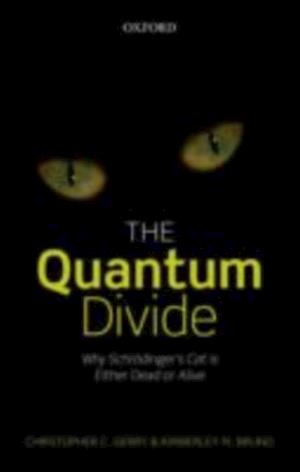 Quantum Divide