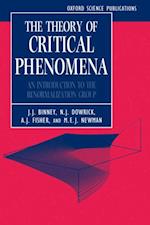 Theory of Critical Phenomena