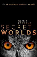 Secret Worlds