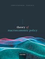 Theory of Macroeconomic Policy