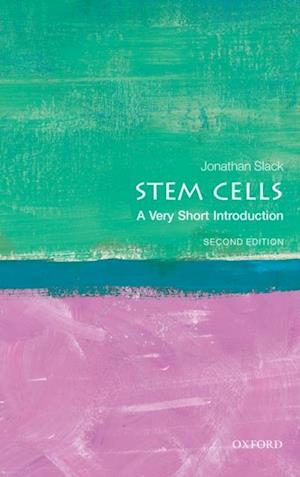 Stem Cells