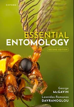 Essential Entomology