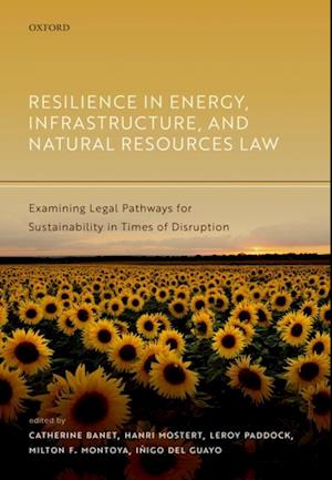 Resilience in Energy, Infrastructure, and Natural Resources Law