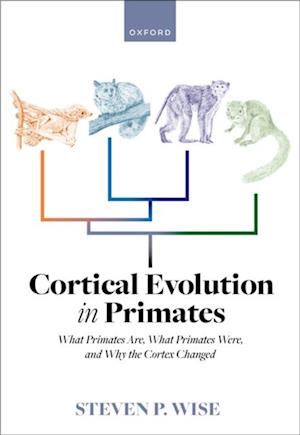 Cortical Evolution in Primates