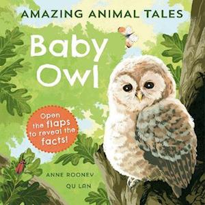 Amazing Animal Tales: Baby Owl