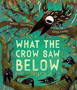 What the Crow Saw Below