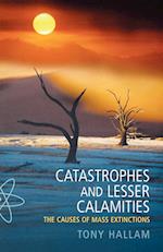 Catastrophes and Lesser Calamities