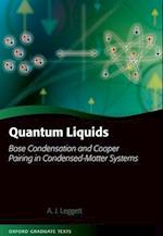 Quantum Liquids