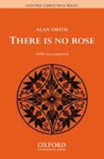 There is no rose