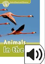 Oxford Read and Discover: Level 3: Animals in the Air Audio Pack