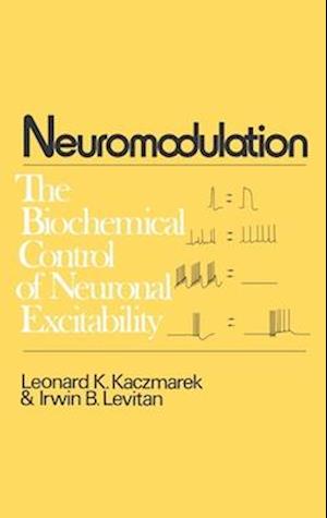 Neuromodulation