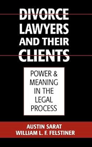 Divorce Lawyers and Their Clients: Power and Meaning in the Legal Process