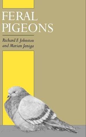 Feral Pigeons