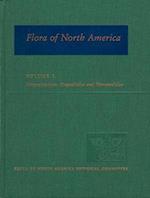 Flora of North America: Volume 3: Magnoliophyta: Magnoliidae and Hamamelidae