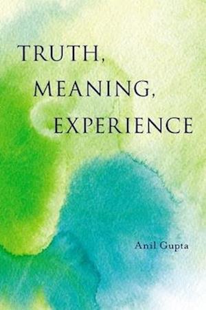 Truth, Meaning, Experience