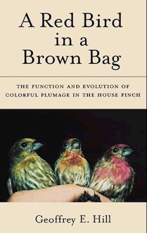 A Red Bird in a Brown Bag