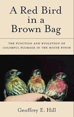 A Red Bird in a Brown Bag