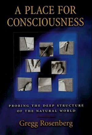 A Place for Consciousness