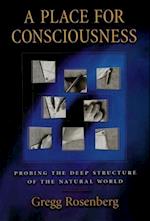 A Place for Consciousness