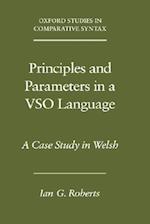 Principles and Parameters in a VSO Language