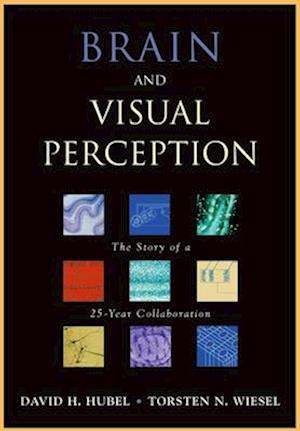 Brain and Visual Perception