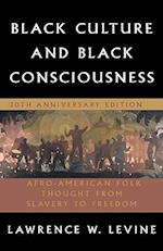 Black Culture and Black Consciousness