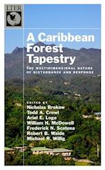 A Caribbean Forest Tapestry