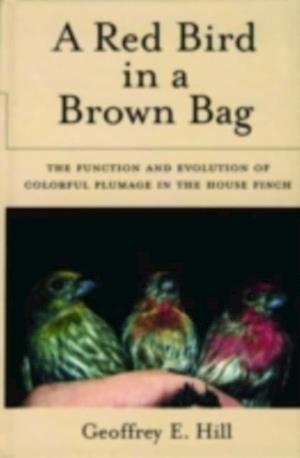 Red Bird in a Brown Bag