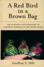 Red Bird in a Brown Bag