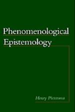 Phenomenological Epistemology