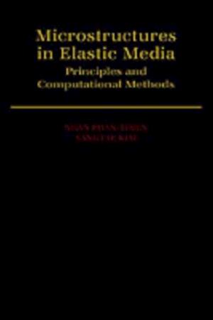 Microstructures in Elastic Media