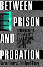 Between Prison and Probation