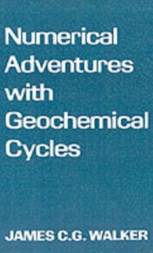 Numerical Adventures with Geochemical Cycles