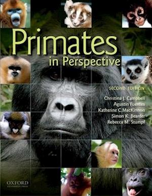 Primates In Perspective